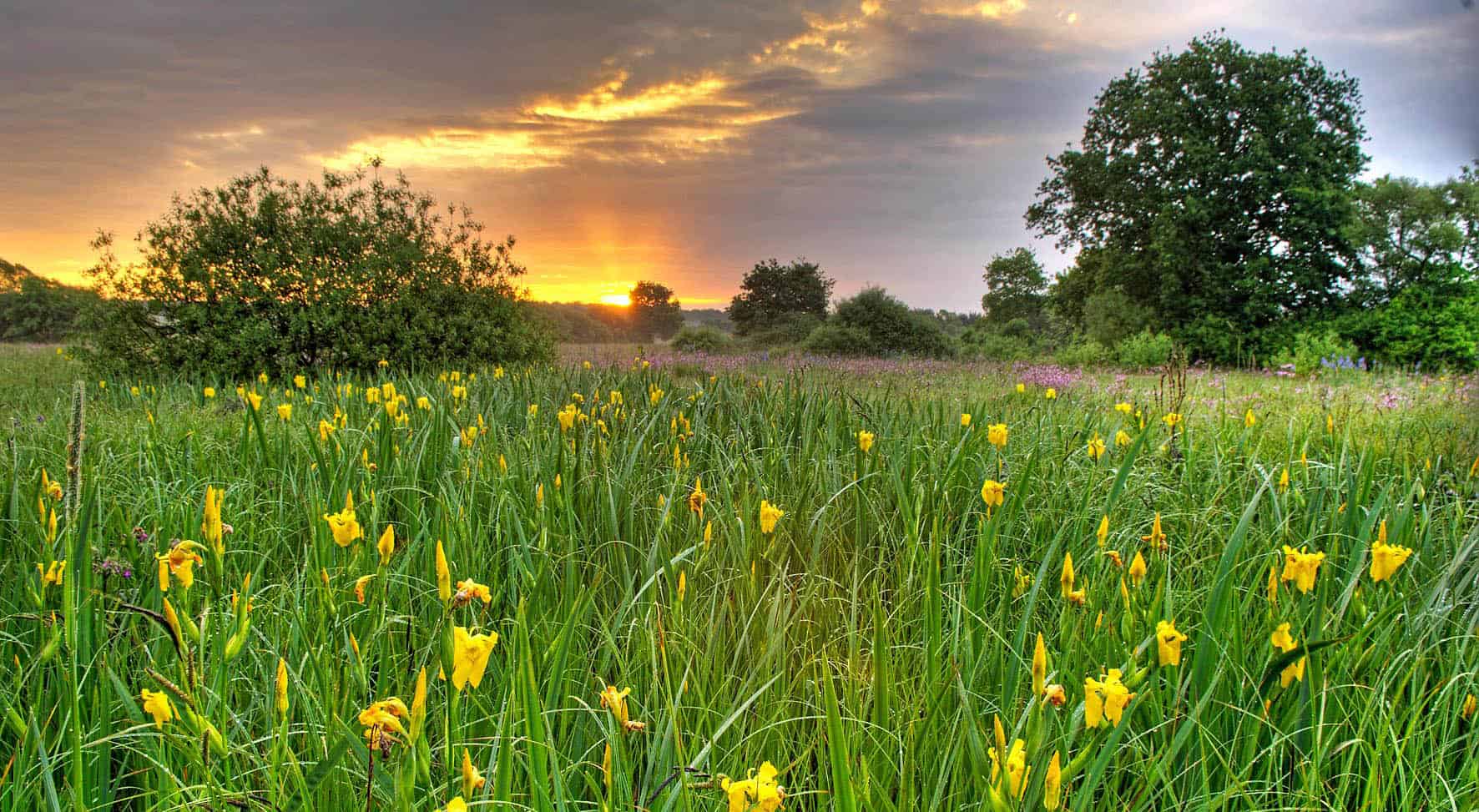 conversory-puchasplus-loipersdorf-zum-kennenlernen-2-2