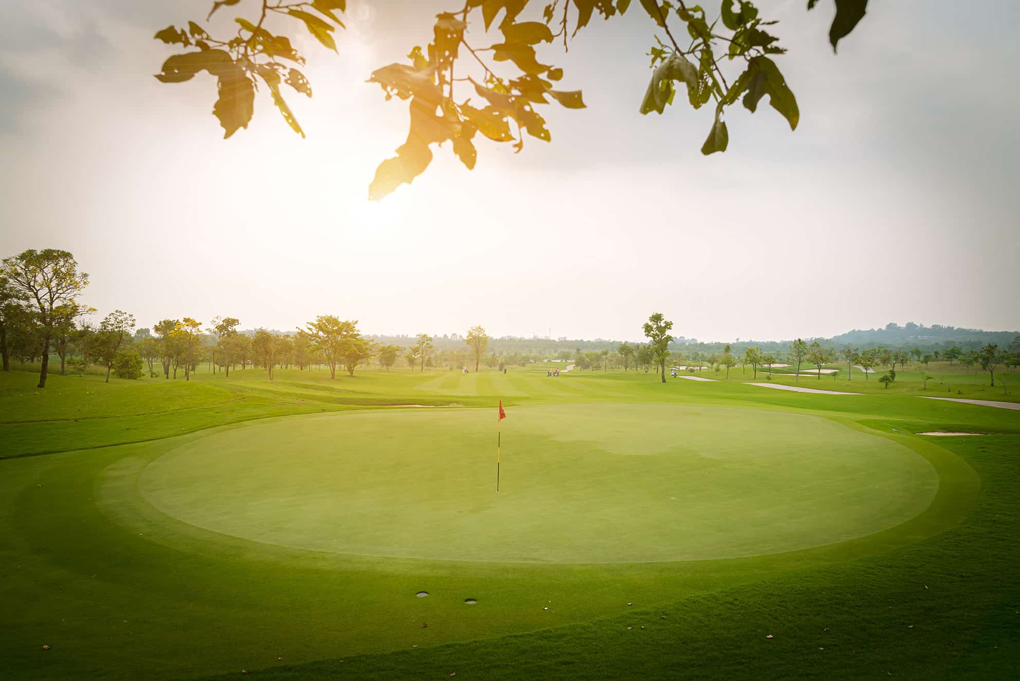 abeautifulviewlandscapeinmorningtimegreengrassat